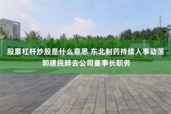 股票杠杆炒股是什么意思 东北制药持续人事动荡 郭建民辞去公司董事长职务