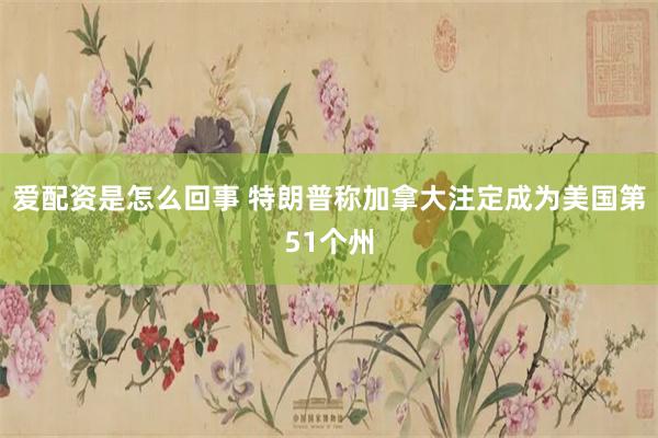 爱配资是怎么回事 特朗普称加拿大注定成为美国第51个州