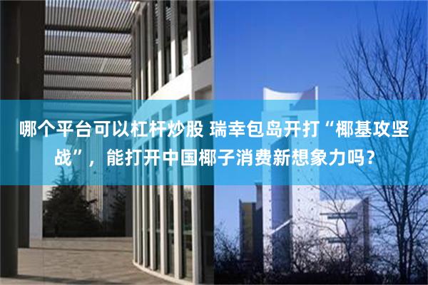 哪个平台可以杠杆炒股 瑞幸包岛开打“椰基攻坚战”，能打开中国椰子消费新想象力吗？