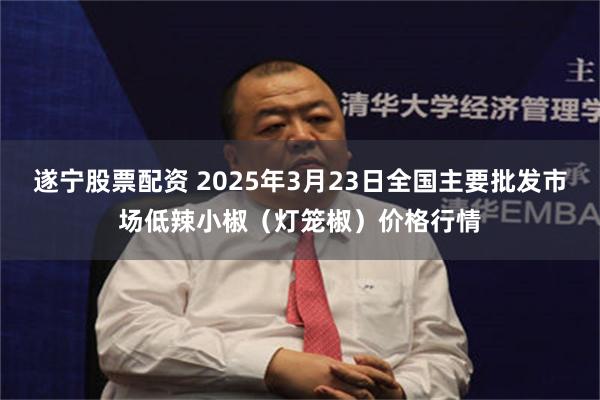 遂宁股票配资 2025年3月23日全国主要批发市场低辣小椒（灯笼椒）价格行情