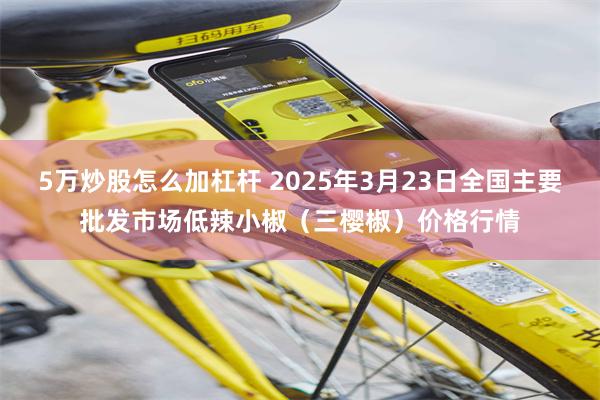 5万炒股怎么加杠杆 2025年3月23日全国主要批发市场低辣小椒（三樱椒）价格行情