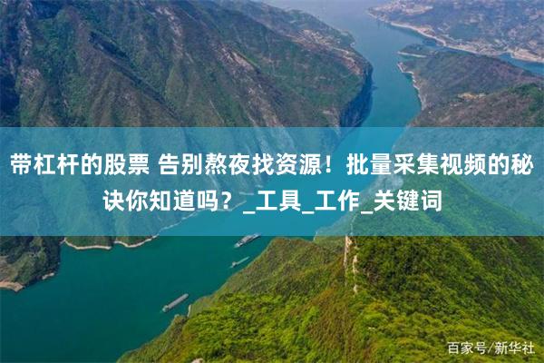 带杠杆的股票 告别熬夜找资源！批量采集视频的秘诀你知道吗？_工具_工作_关键词