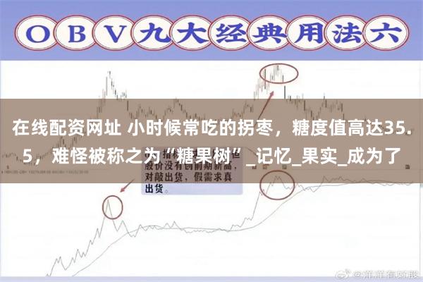 在线配资网址 小时候常吃的拐枣，糖度值高达35.5，难怪被称之为“糖果树”_记忆_果实_成为了