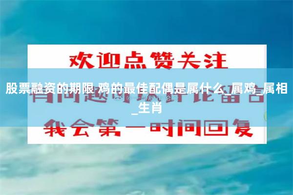股票融资的期限 鸡的最佳配偶是属什么_属鸡_属相_生肖