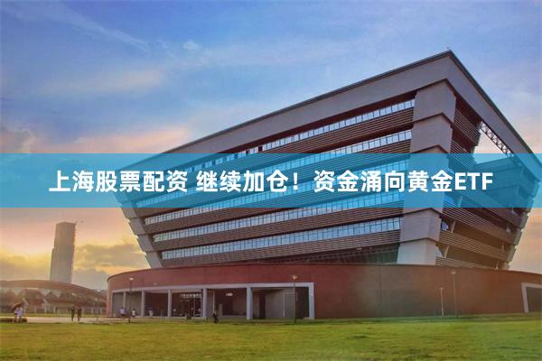 上海股票配资 继续加仓！资金涌向黄金ETF