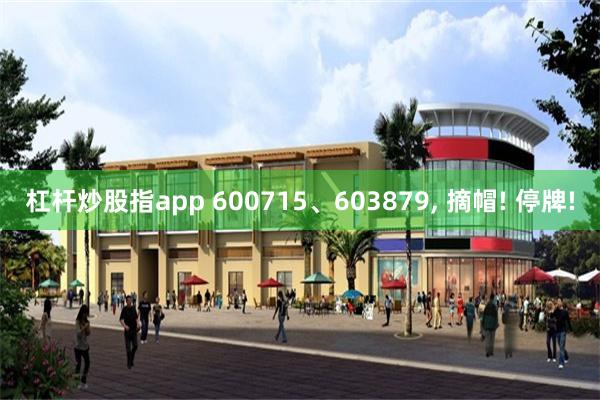 杠杆炒股指app 600715、603879, 摘帽! 停牌!