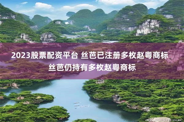 2023股票配资平台 丝芭已注册多枚赵粤商标  丝芭仍持有多枚赵粤商标