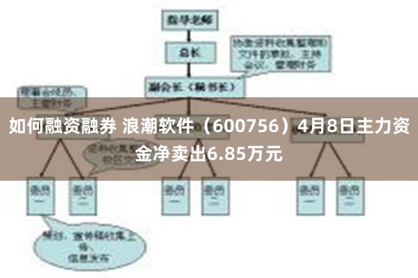 如何融资融券 浪潮软件（600756）4月8日主力资金净卖出6.85万元