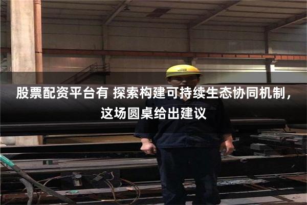 股票配资平台有 探索构建可持续生态协同机制，这场圆桌给出建议