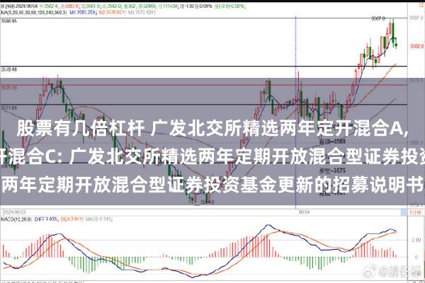 股票有几倍杠杆 广发北交所精选两年定开混合A,广发北交所精选两年定开混合C: 广发北交所精选两年定期开放混合型证券投资基金更新的招募说明书