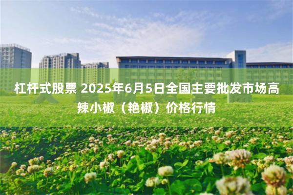 杠杆式股票 2025年6月5日全国主要批发市场高辣小椒（艳椒）价格行情