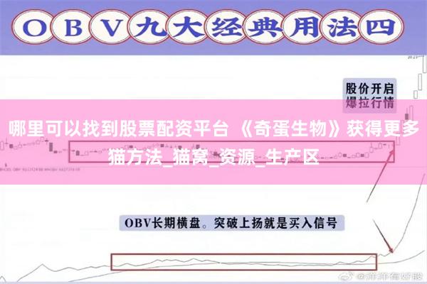 哪里可以找到股票配资平台 《奇蛋生物》获得更多猫方法_猫窝_资源_生产区