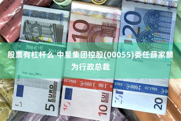 股票有杠杆么 中星集团控股(00055)委任薛家麟为行政总裁