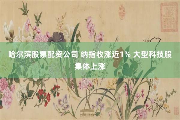 哈尔滨股票配资公司 纳指收涨近1% 大型科技股集体上涨