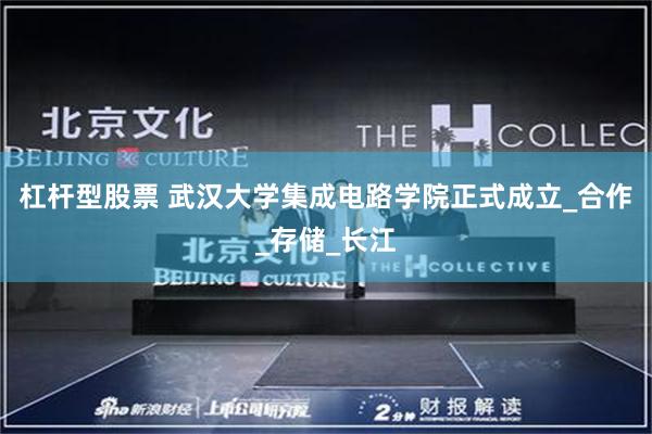 杠杆型股票 武汉大学集成电路学院正式成立_合作_存储_长江