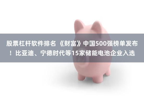 股票杠杆软件排名 《财富》中国500强榜单发布！比亚迪、宁德时代等15家储能电池企业入选