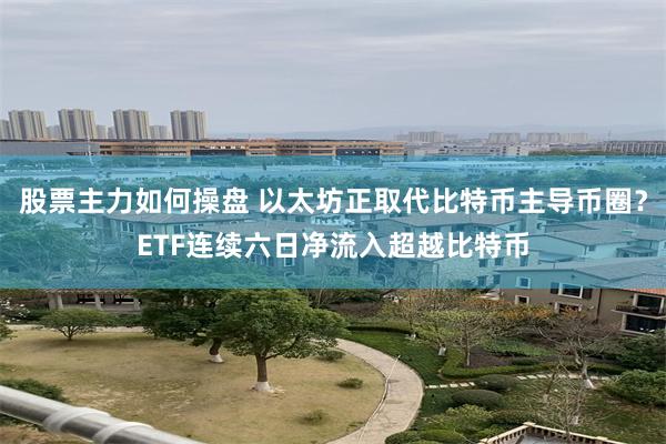 股票主力如何操盘 以太坊正取代比特币主导币圈？ETF连续六日净流入超越比特币
