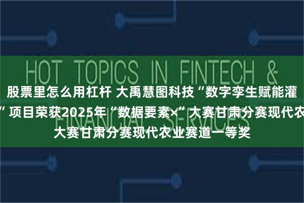 股票里怎么用杠杆 大禹慧图科技“数字孪生赋能灌区农业现代化”项目荣获2025年“数据要素×”大赛甘肃分赛现代农业赛道一等奖