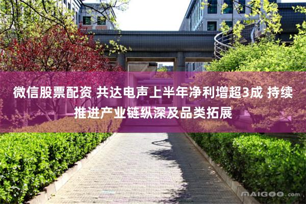 微信股票配资 共达电声上半年净利增超3成 持续推进产业链纵深及品类拓展